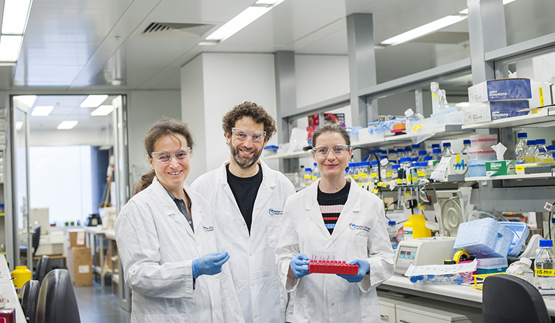 Anne Voss, Tim Thomas and PhD student Helen McRae working together.