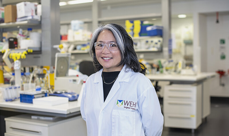 Professor Wai-Hong Tham in a WEHI laboratory