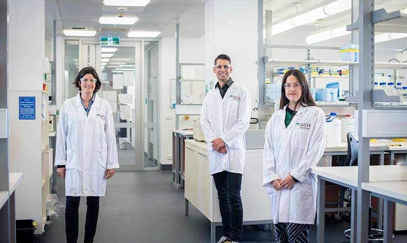 L-R:Associate Professor Marie-Liesse Asselin-Labat, Professor Daniel Gray and Dr Clare Weeden.