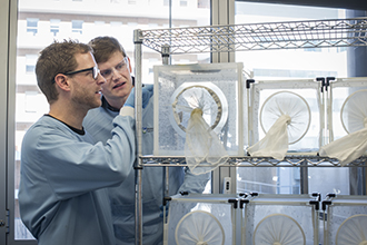 Associate Professor Justin Boddey (left) and Dr Ethan Goddard-Borger in the Institute insectary