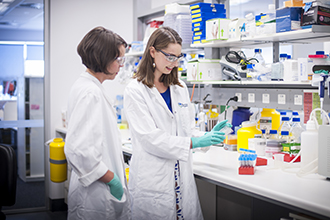 Researchers in the laboratory