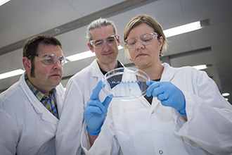 Researchers in the lab looking at gel in dish