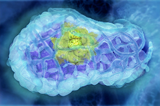 Still from a biomedical animation of a developing tumour 