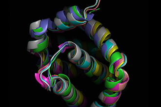 Protein structure