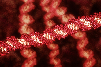 Still image from animation of DNA strands