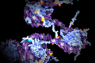 Animation still of DNA and epigenetic tags