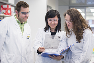 Researchers working in the lab