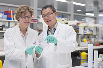 Jane Visvader and Nai Yang Fu in the laboratory