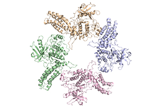 Protein structure image