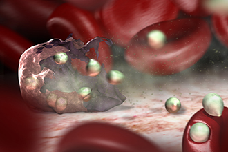 Malaria bursting from red blood cell