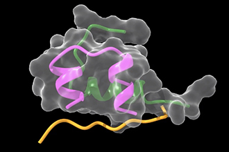 Mini-Ins structure