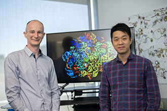 Dr Brad Sleebs and Dr Wilson Wong in an office