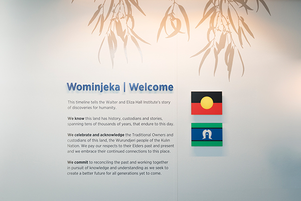 WEHI's permanent acknowledgement of the Traditional Owners installed on the Institute's galleria timeline