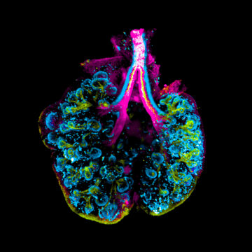 Art of Science submission; Air force