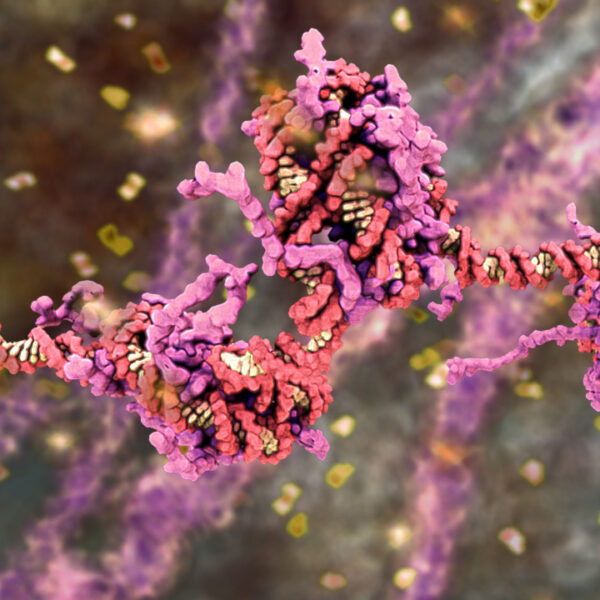 WEHI TV artwork - A powers-of-10 exploration of the microscopic and molecular landscapes inside Björk's body.