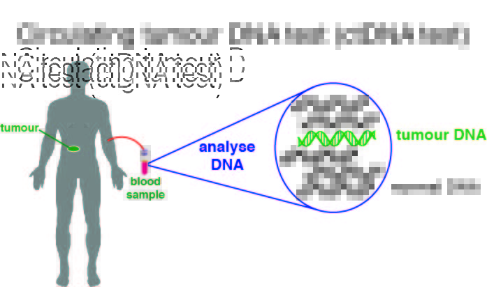Diagram explaining how the test works