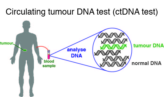 Diagram explaining how the test works