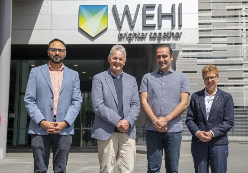 Cybec Foundation Director and PhD Scholarship recipient WEHI