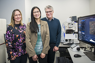 Dr Kelly Rogers, Dr Kim Pham and Professor Phil Hodgkin