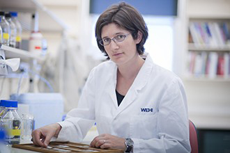 Dr Marie-Liesse Asselin-Labat in the lab