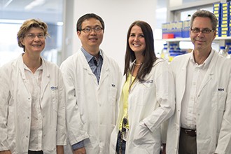 Jane Visvader, Nai Yang Fu, Anne Rios, and Geoff Lindeman standing in a lab