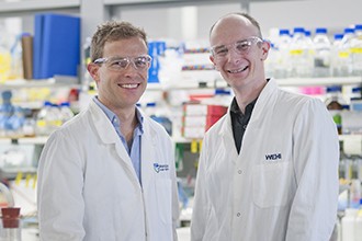 Dr Justin Boddey and Dr Brad Sleebs in a lab