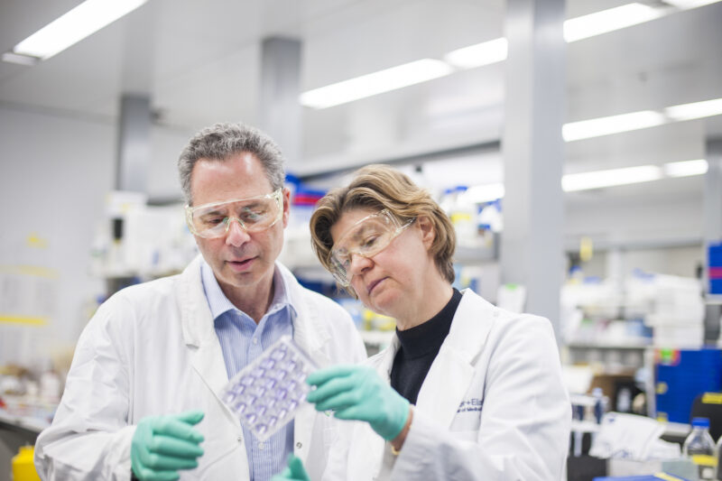 Professor Geoff Lindeman and Professor Jane Visvader in a WEH lab