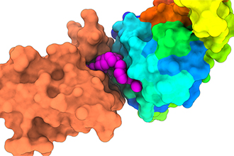 Visualisation of molecules and proteins