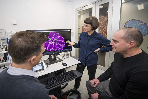Associate Professor Chris Tonkin, Ms Mary-Louise Wilde and Dr Al
