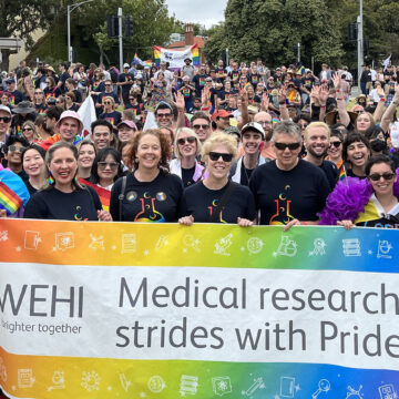 WEHI staff at the WEHI pride march