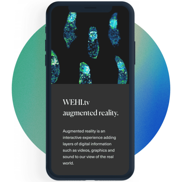 WEHI augmented reality app image