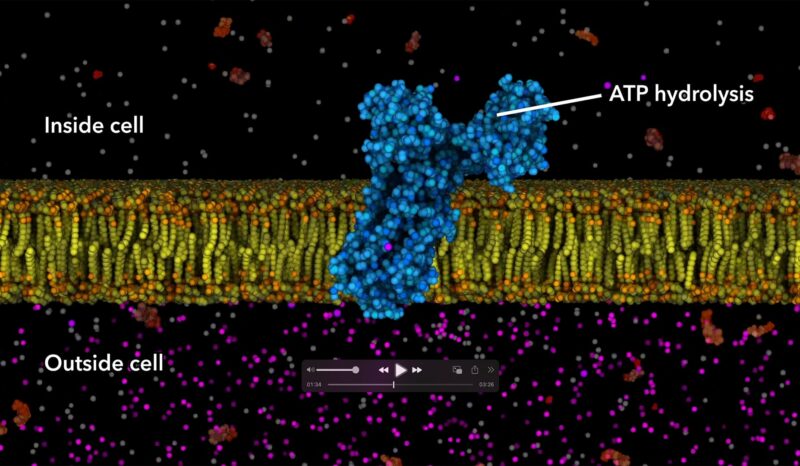 Colourful image of the Adenosine Triphosphate molecule