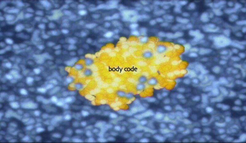 Colourful representation of the body code at a molecular level
