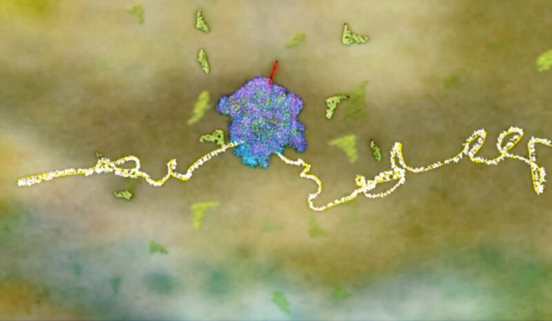 DNA molecular visualisations derived from x-ray crystallography and other data sets