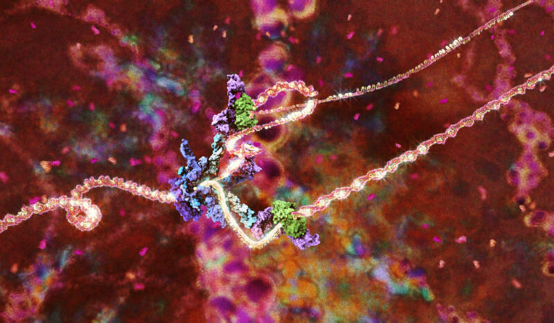 The replisome, a large protein complex that carries out DNA replication.