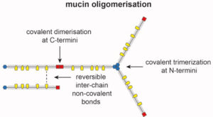 Scientific figure