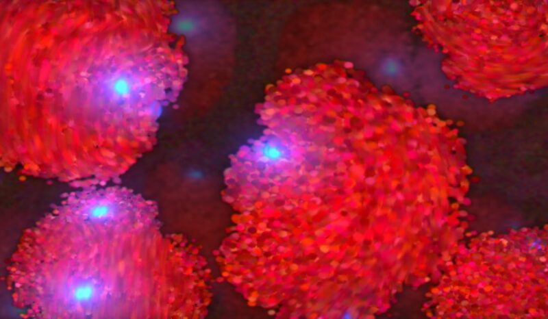 Visualisation of DNA at a molecular level.
