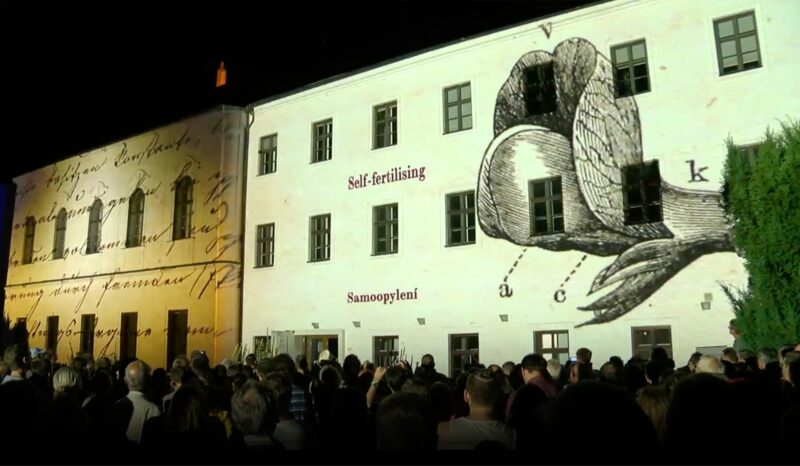 A large crowd watching imagery being projected onto the facades of buildings