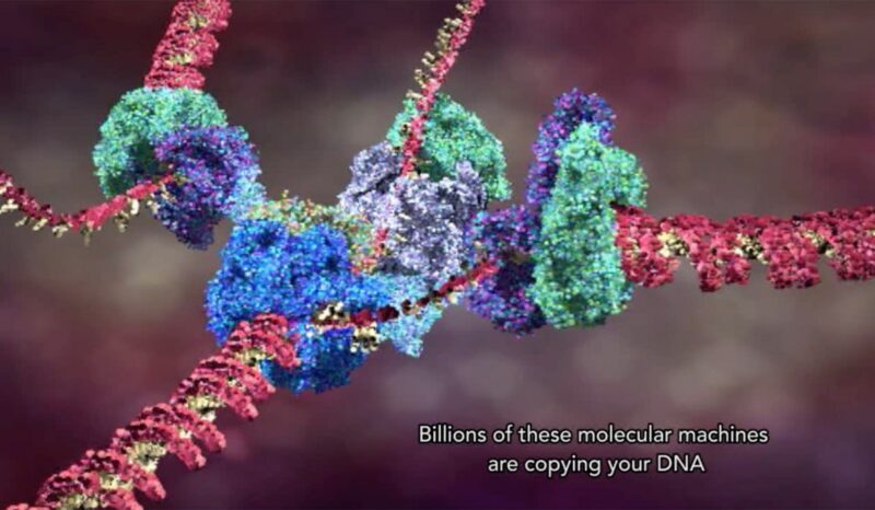 Molecular visualisation of DNA animation still