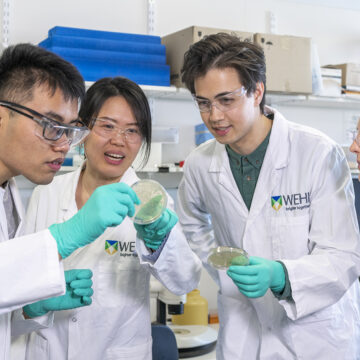 WEHI research group in lab on student open day