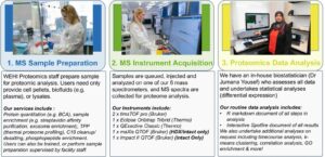 Proteomic services; MS Sample preparation, MS Instrument acquisition, Proteomics data analysis