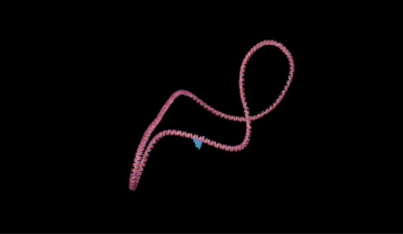 Molecular visualisation of a DNA strand