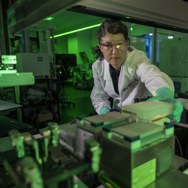 Researcher using screening in the National Drug Discovery Centre