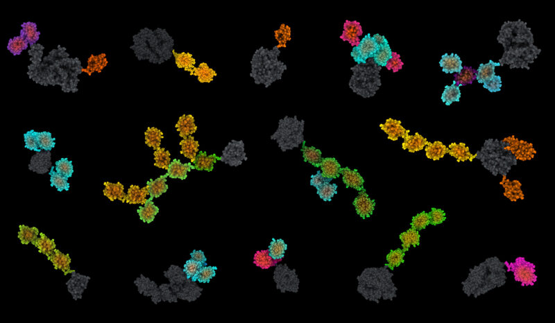 Varieties of different ubiquitin chains highlighted with various colours