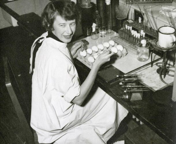 Dr Margaret Edney in the virus laboratory inoculating eggs.