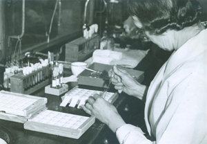 Fannie Williams working with blood vials