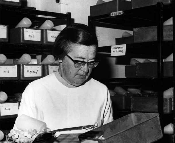 Dr Margaret Holmes looking into a box 1966