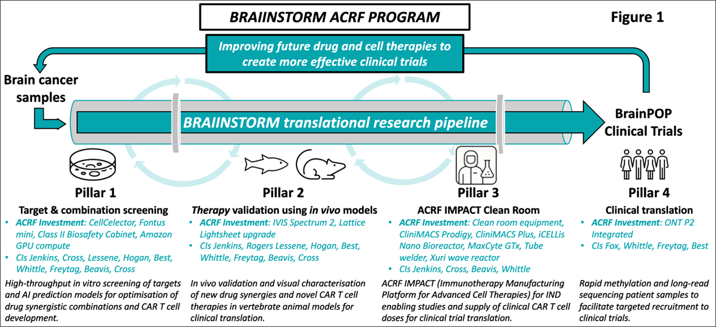 An infographic depicts the process flow of the BRAIINSTORM ACRF Program, a program to accelerate new personalised treatments for brain cancer