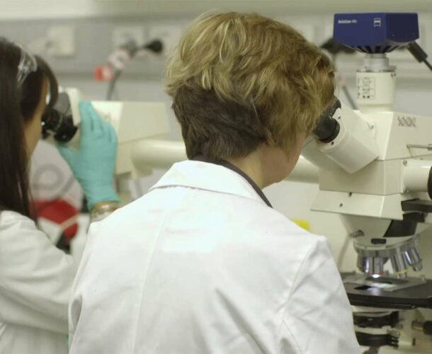 Two women in a lab using microscopes