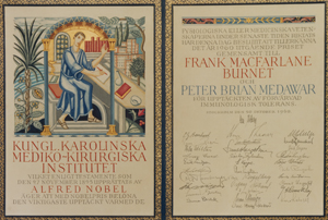 Sir Frank Macfarlane Burnet and Sir Peter Medawar were jointly awarded the 1960 Nobel Prize in Physiology or Medicine